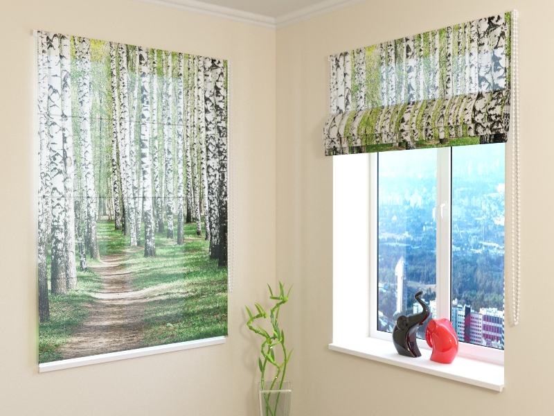 Roman Blind Birch Forest