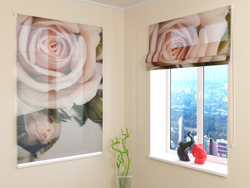 Roman Blind Beautiful Rose with Buds