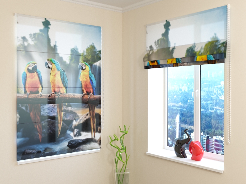 Roman Blind Three Parrot