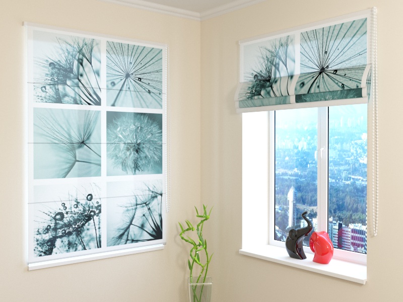 Roman Blind Dandelion