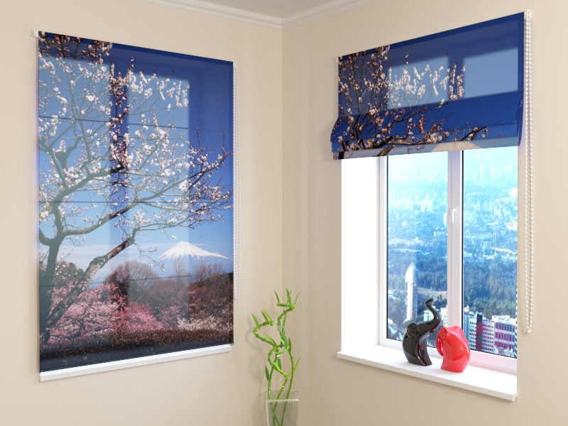 Roman Blind Fuji