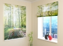 Roman Blind Park Tulip