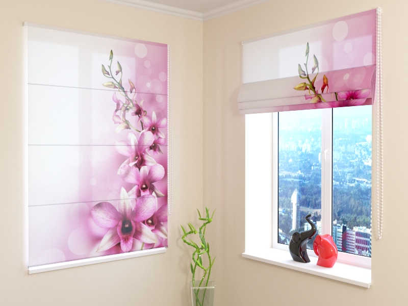 Roman Blind Vine orchid