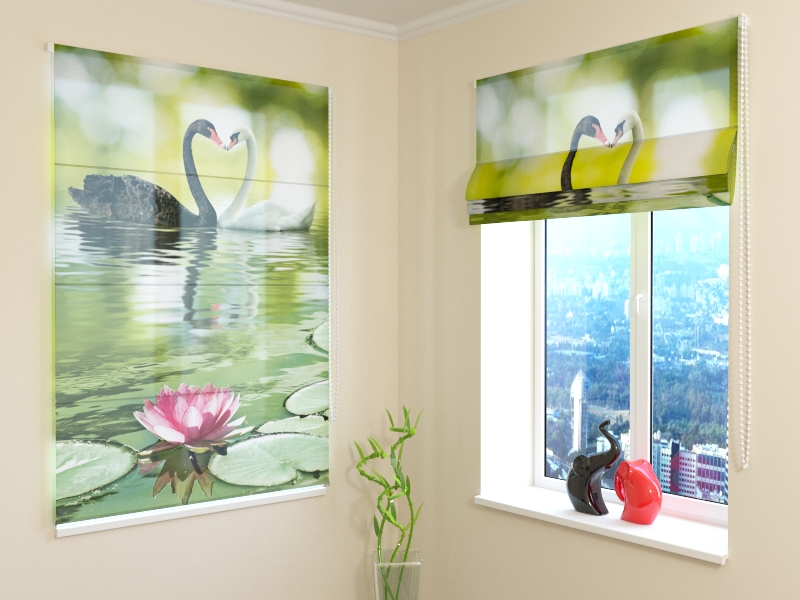 Roman Blind Black and White Swans