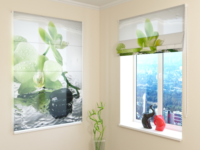 Roman Blind Pistachio Orchid