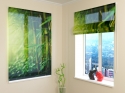 Roman Blind Bamboo Forest 2
