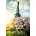 Pavasaris Parīzē