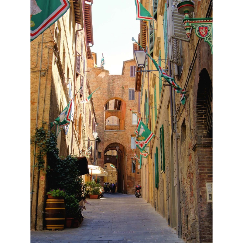 Street in Siena