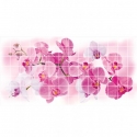 PVC panel TP10018768 Rosea Orchid 