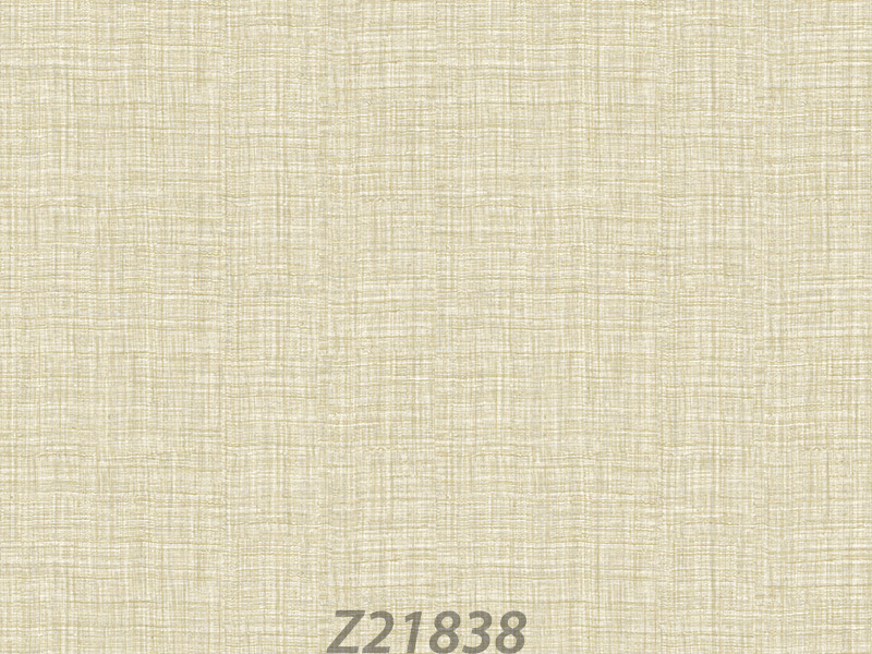 Z21838 Wallpaper (TV)
