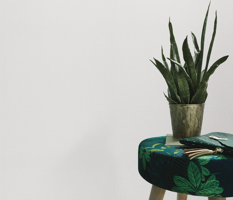 10450-01  12213-01 Tapete