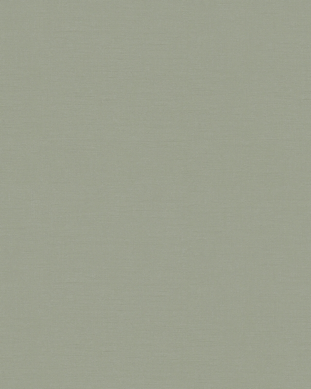 31839 Oбои