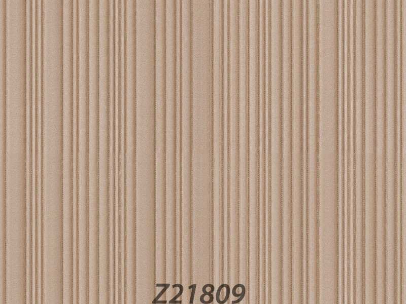 Z21809 Wallpaper (TV)
