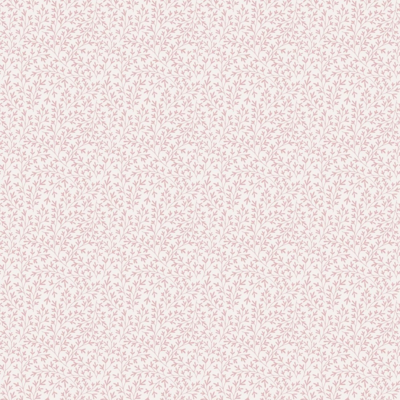 84048 Wallpaper