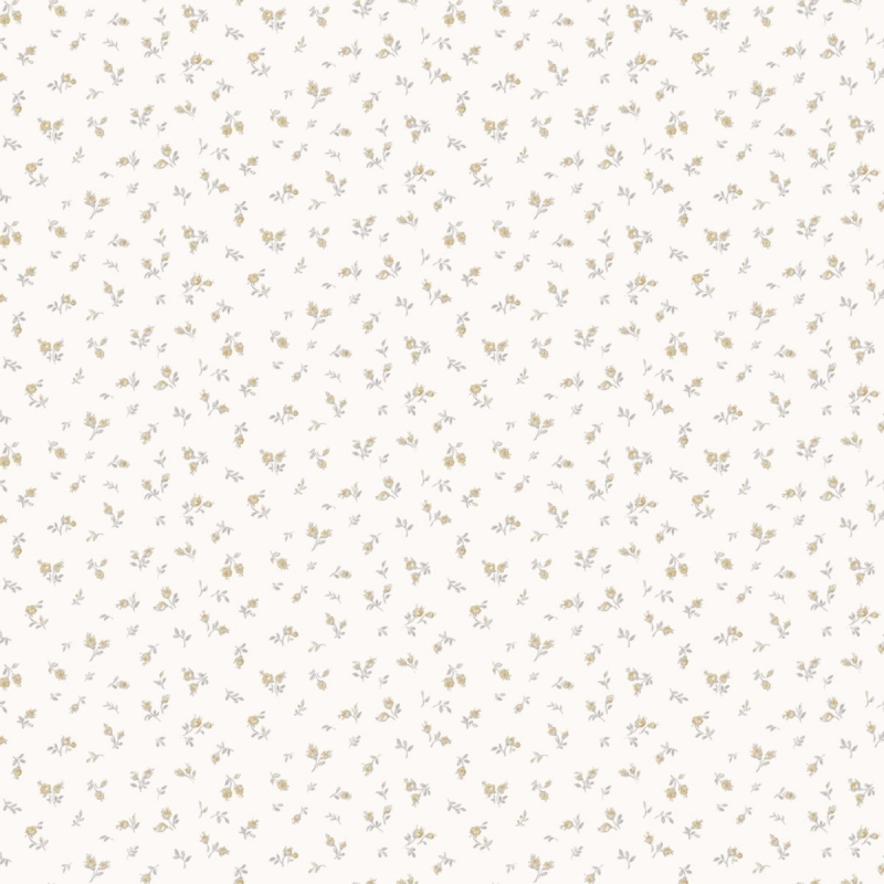 84064 Wallpaper