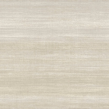 21151 Wallpaper