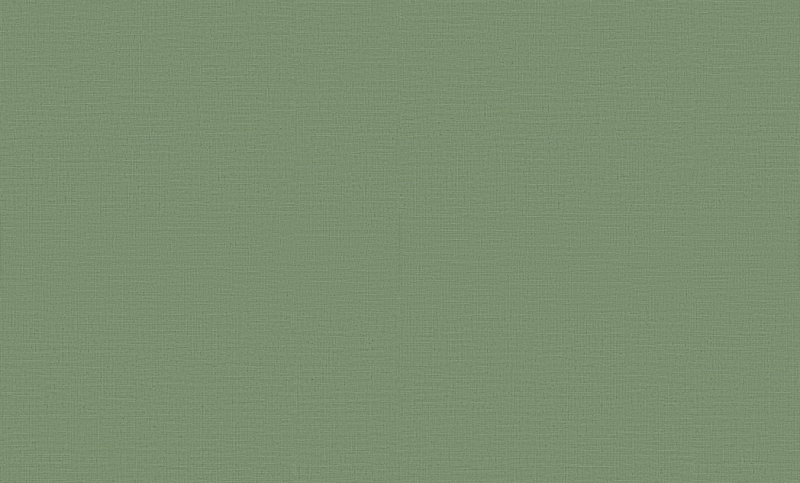 12143-07 Wallpaper