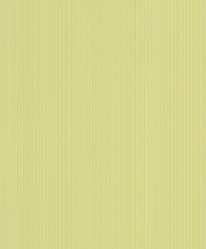430677 Wallpaper