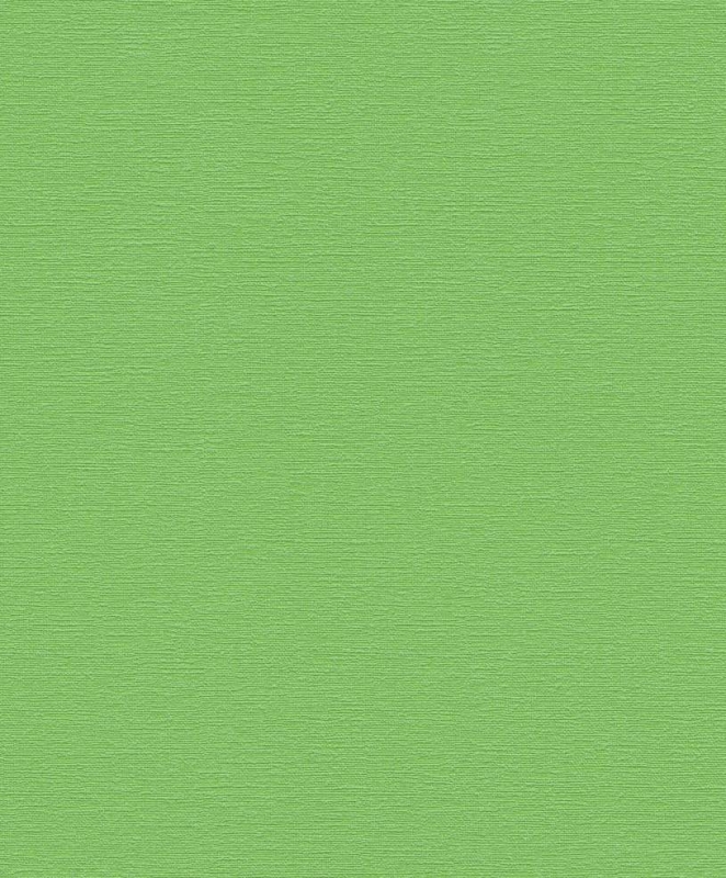 804362 Wallpaper