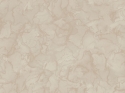 M31934 Tapete 
