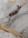 PVC sticker - marble gold